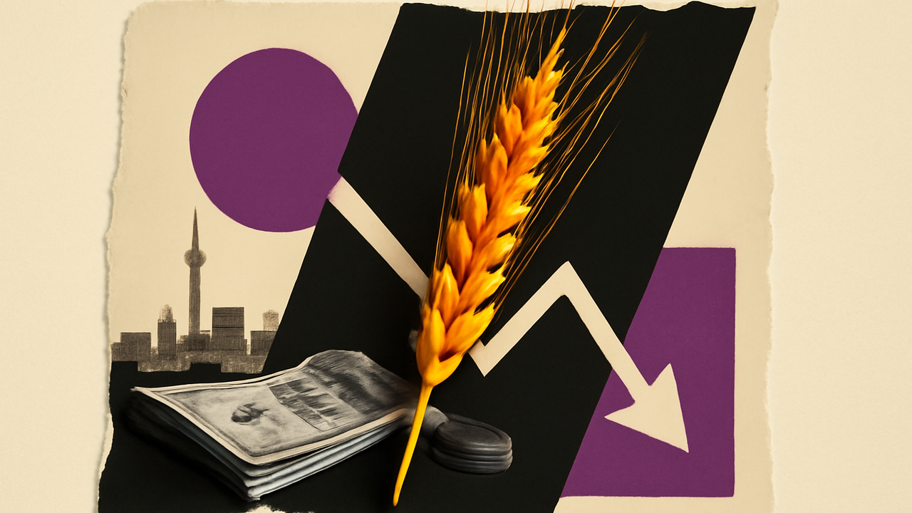 قیمت گندم اروپا از بالاترین سطح ۴ هفته اخیر عقب نشست