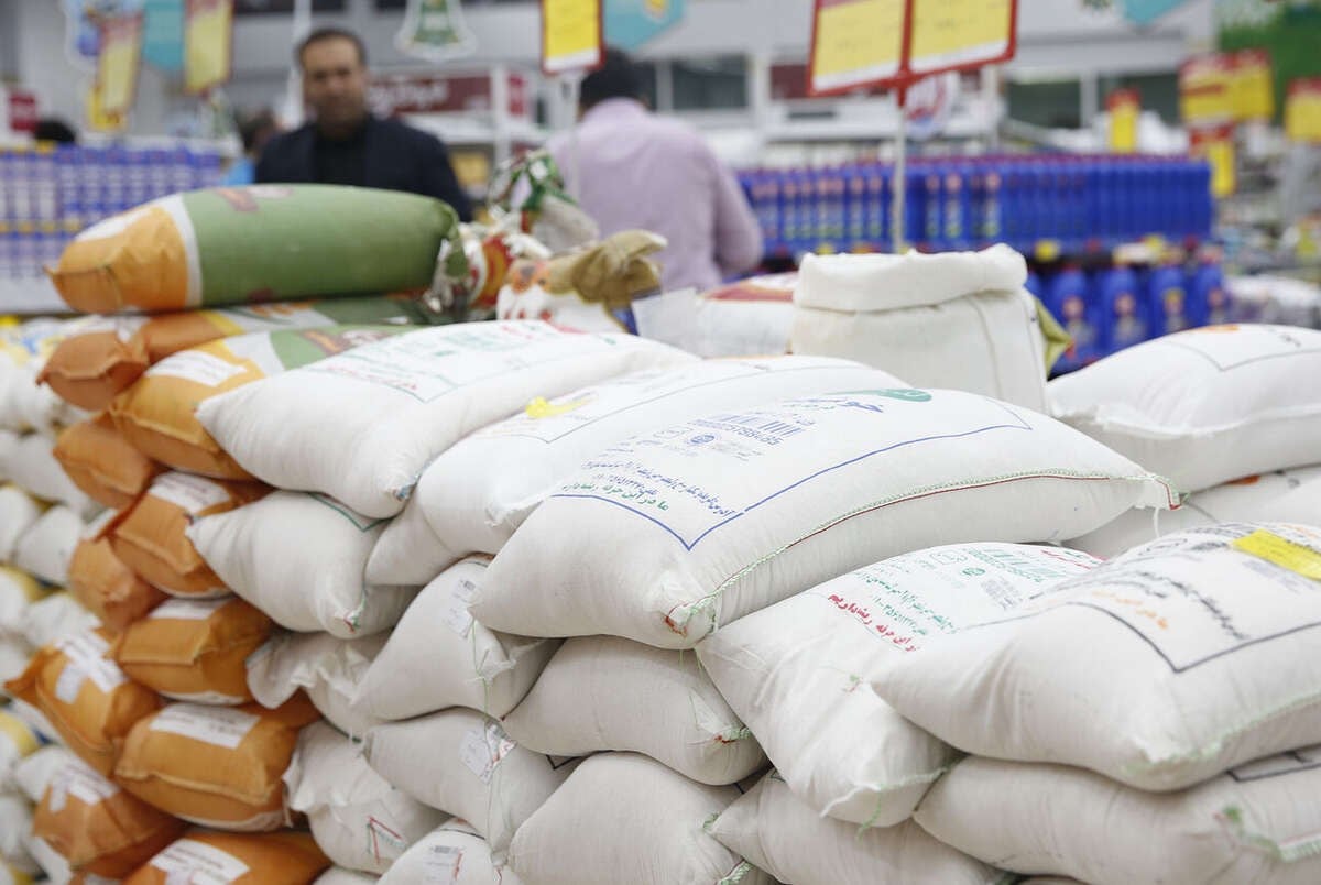 آغاز عرضه برنجهای وارداتی/قیمت برنج ارزان میشود؟