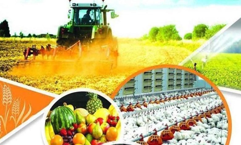 جهش قیمت جهانی محصولات کشاورزی