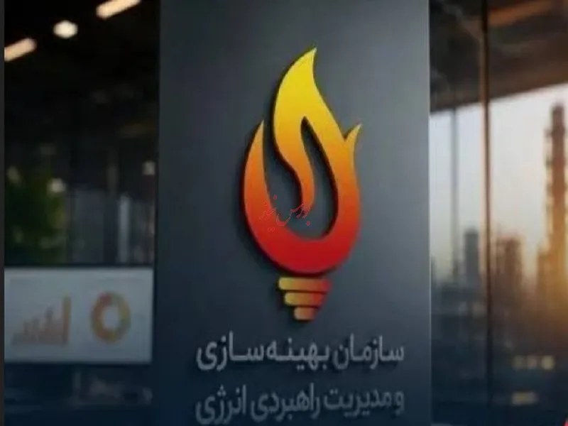 دولت علاقه ای به مازوت سوزی ندارد