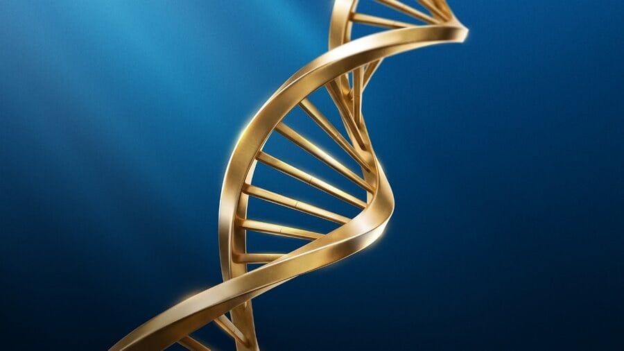 صندوق مثقال؛ بهترین روش سرمایهگذاری در طلا