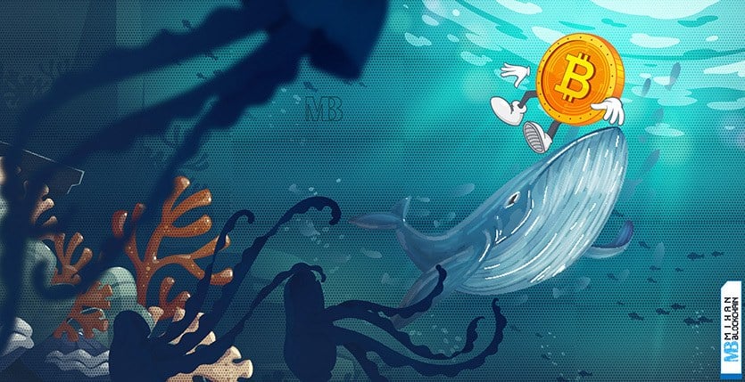 بازگشت مشروط شرکتها به بازار بیتکوین؛ دوران جذب سرمایههای بیحسابوکتاب تمام شد!
