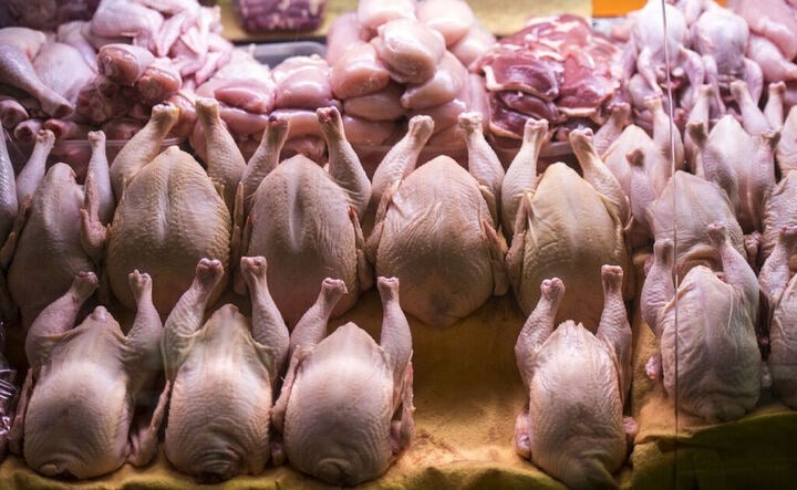 فروش مرغ ارزان تر از نرخ بازار+ جزئیات