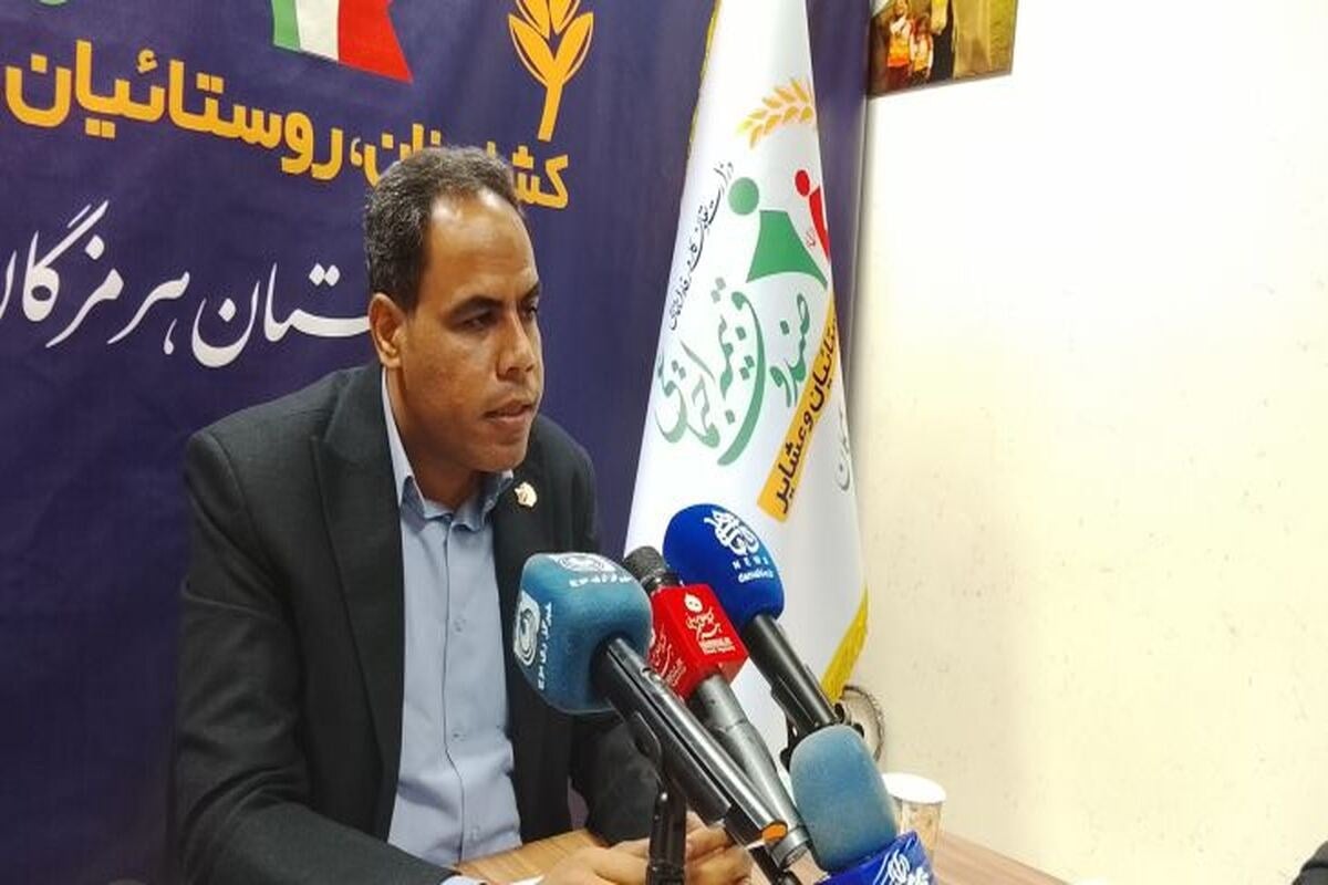 جهش کمسابقه بیمه اجتماعی در هرمزگان/ از رشد ۱۰۰ درصدی پوشش بیمهای تا امکان خرید سنوات سربازی