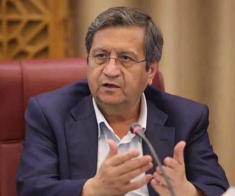 آدم ناشی در کنترل ارز نیستم