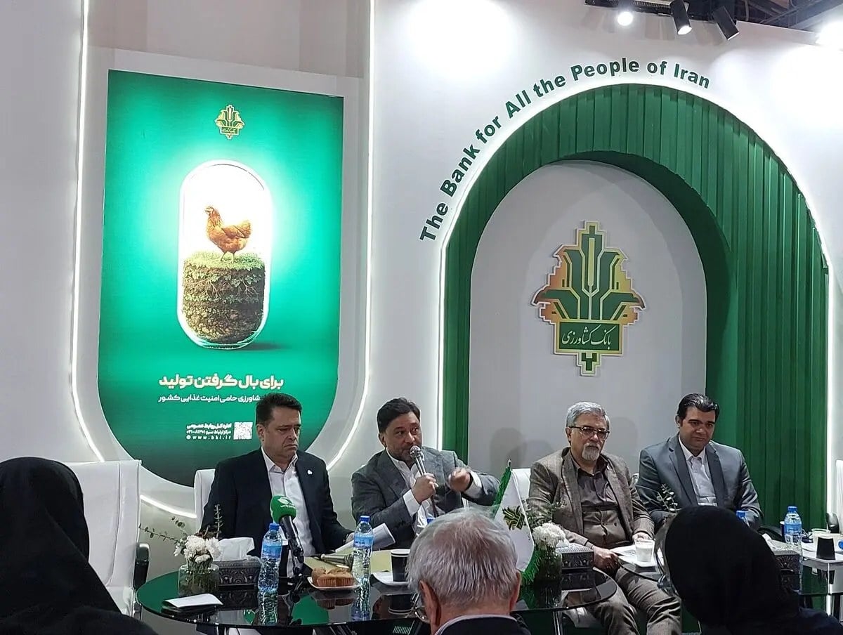 تأمین ۳۸۰ میلیون دلار ارز نهادههای دامی با ابزارهای نوین بانکی/ ضرورت توسعه تأمین مالی زنجیره تولید