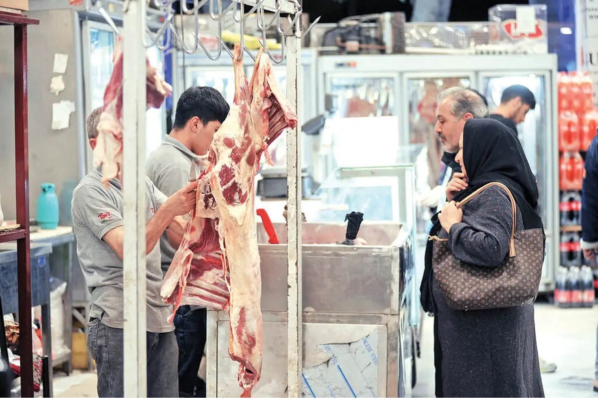 دستکاری در قیمت گوشت قرمز/ گاومیش به سبد گوشت کشور اضافه شد