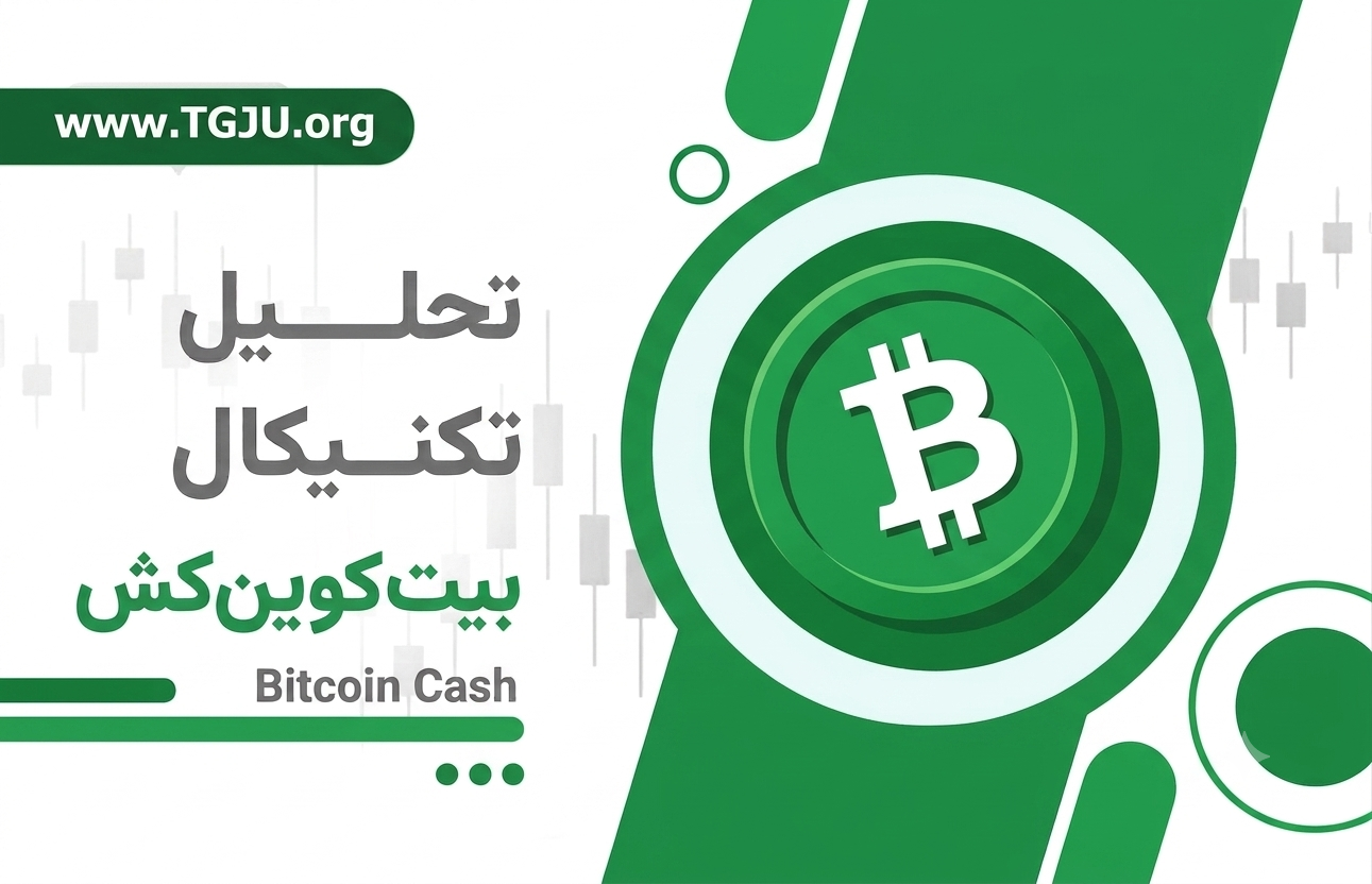 رشد ۲۰ درصدی BCH در یک ماه؛ بیتکوین کش به دنبال عبور از سد ۳۲۰ دلار