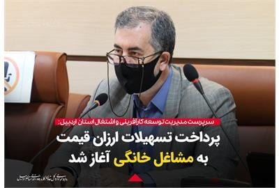 کسب و کارهای خانگی در اردبیل تسهیلات ارزان قیمت میگیرند