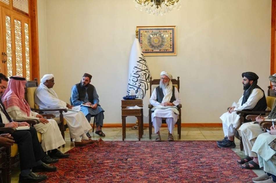 حنفی: سازمان همکاری اسلامی در زمینه بدیل کشت مواد مخدر همکاری کند