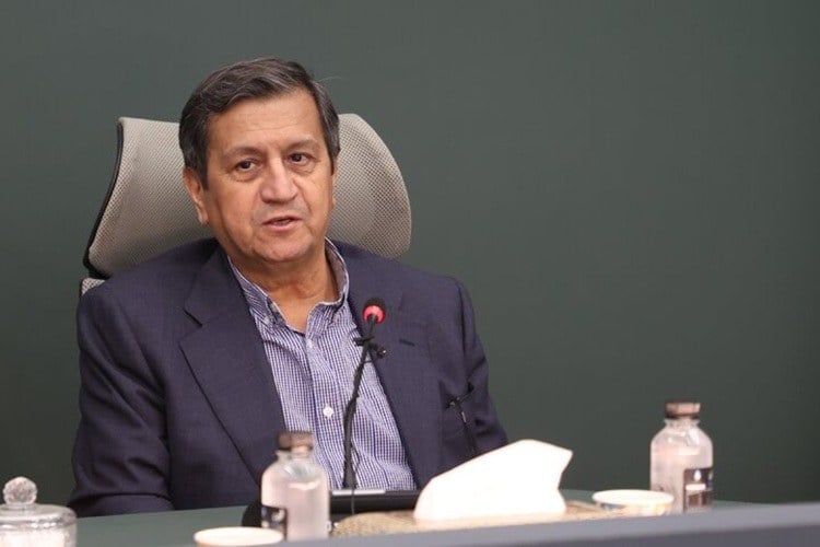 ضربالاجل همتی؛ بانکها، سهام و املاک غیربانکی را واگذار کنند