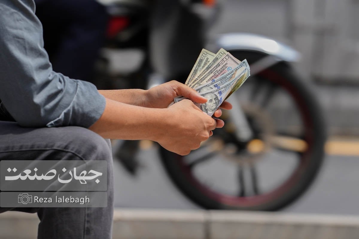چرا قیمت دلار ۲۵۰ هزار تومان شد؟ | دولت از دلار گران سود می برد؟