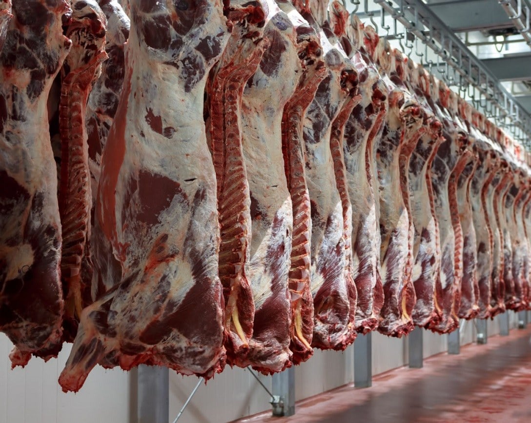 کاهش هزینه خرید گوشت در البرز؛ اختلاف قیمت با تهران به ۲۰ درصد رسید