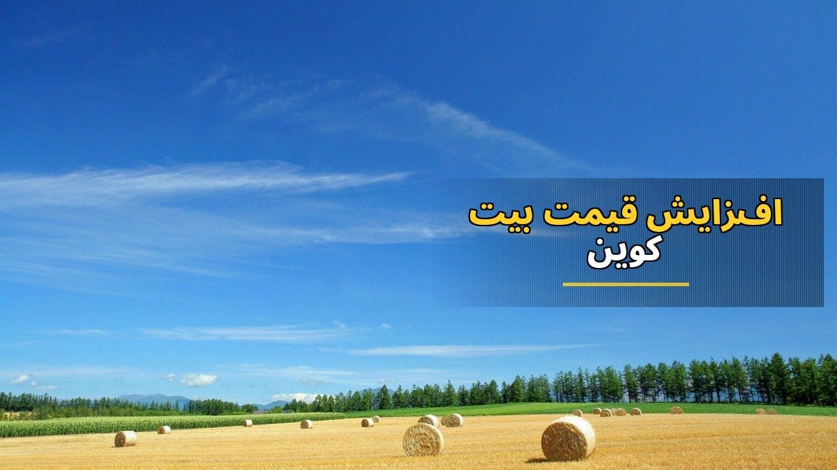 افزایش قیمت بیتکوین و اتریوم در بازار ارزهای دیجیتال