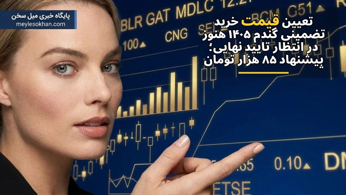 تعیین قیمت خرید تضمینی گندم ۱۴۰۵ هنوز در انتظار تأیید نهایی؛ پیشنهاد ۸۵ هزار تومان