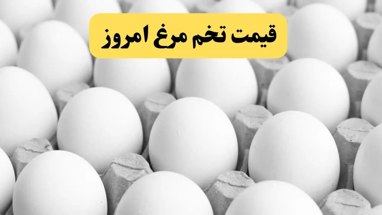 تخم مرغ یک قدم به میلیونی شدن نزدیک شد!