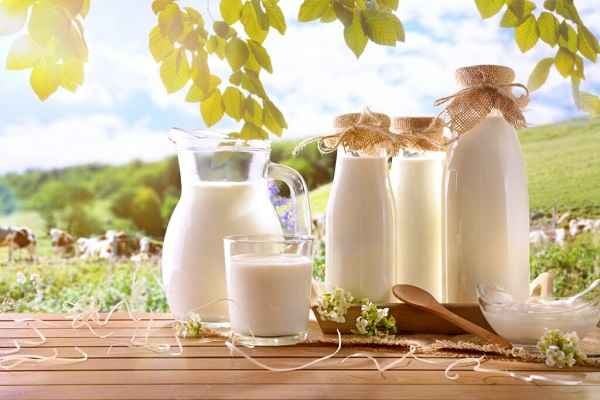لبنیات دوباره گران میشود؟ قیمت شیرخام در آستانه افزایش