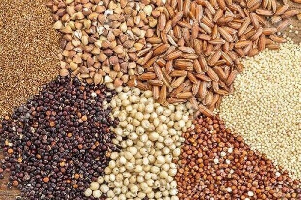 قیمت انواع نهاده های دامی و محصولات کشاورزی ۱۱ مهر ۱۴۰۵