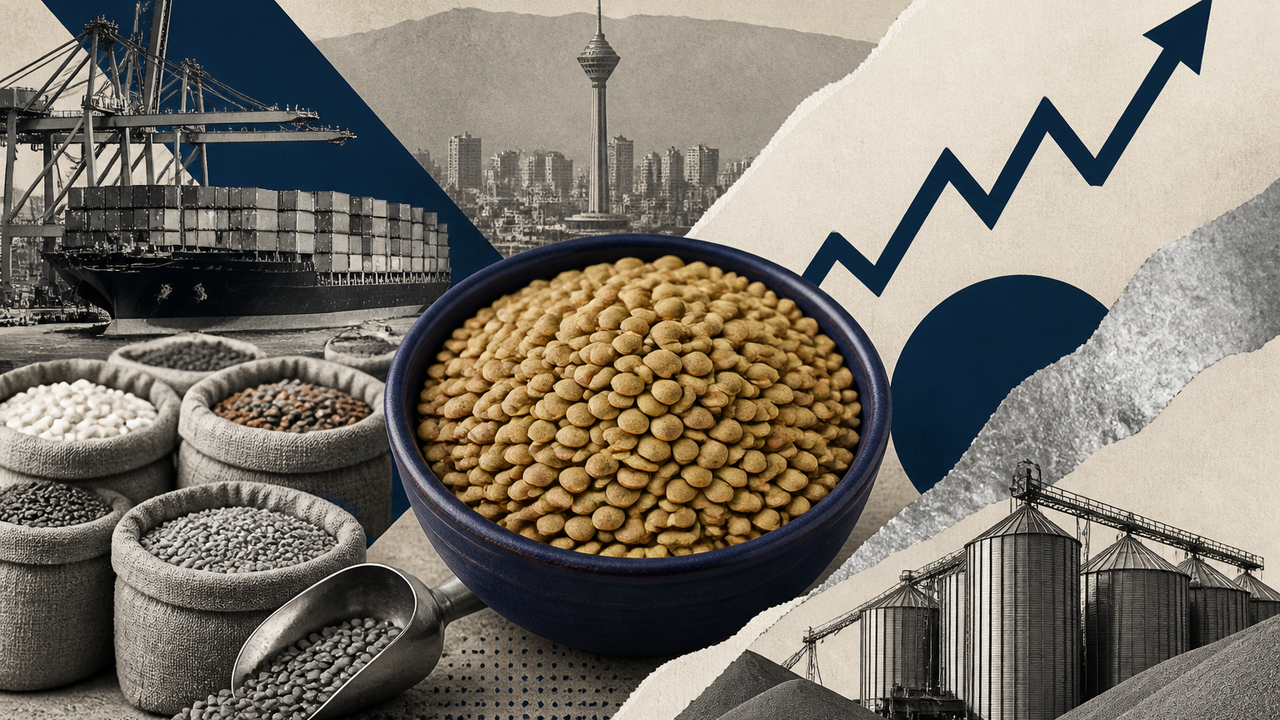 عدس کیلویی ۲۹۰ هزار تومان؛ لوبیا و نخود در بازار چند است؟