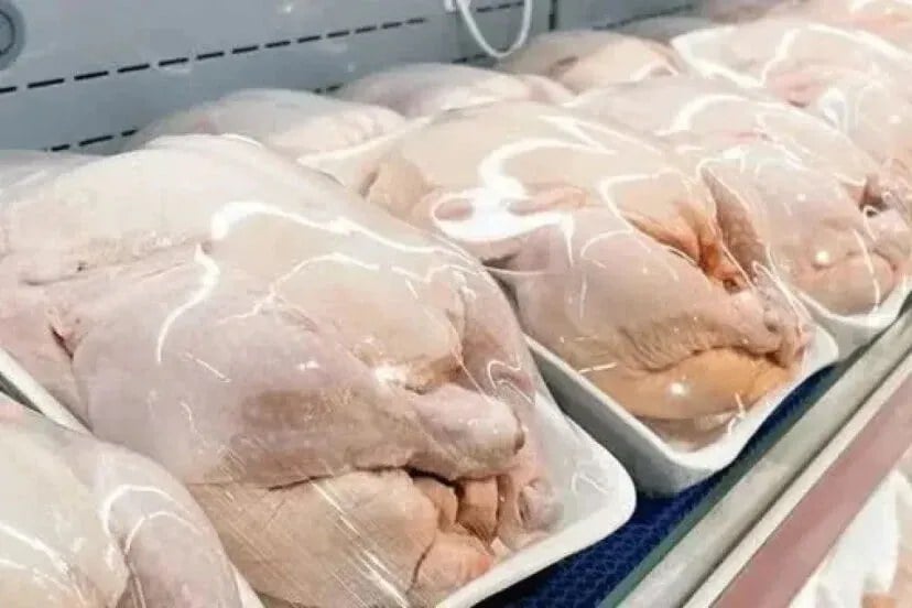 خرید مرغ مازاد آغاز شد؛ بازار مرغ در آستانه تغییر قیمت