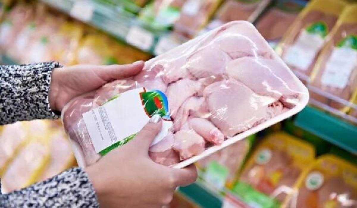 قیمت مرغ و تخم مرغ امروز شنبه ۱۸ مهر ۱۴۰۵ / هر شانه تخم مرغ چند شد؟